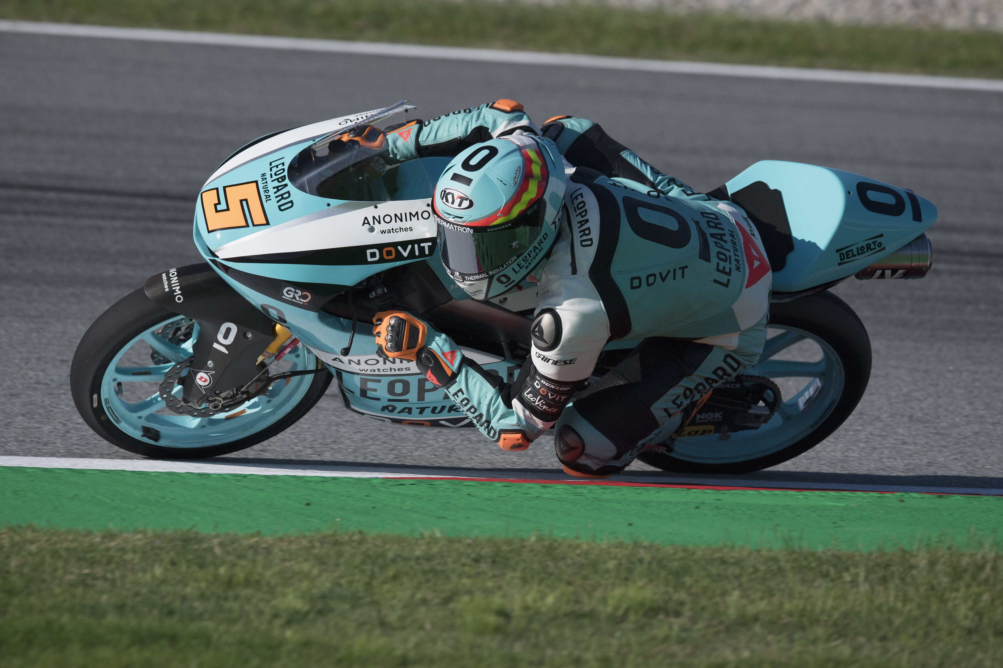 




Second and fourth row of the grid for the Le0pard Racing


